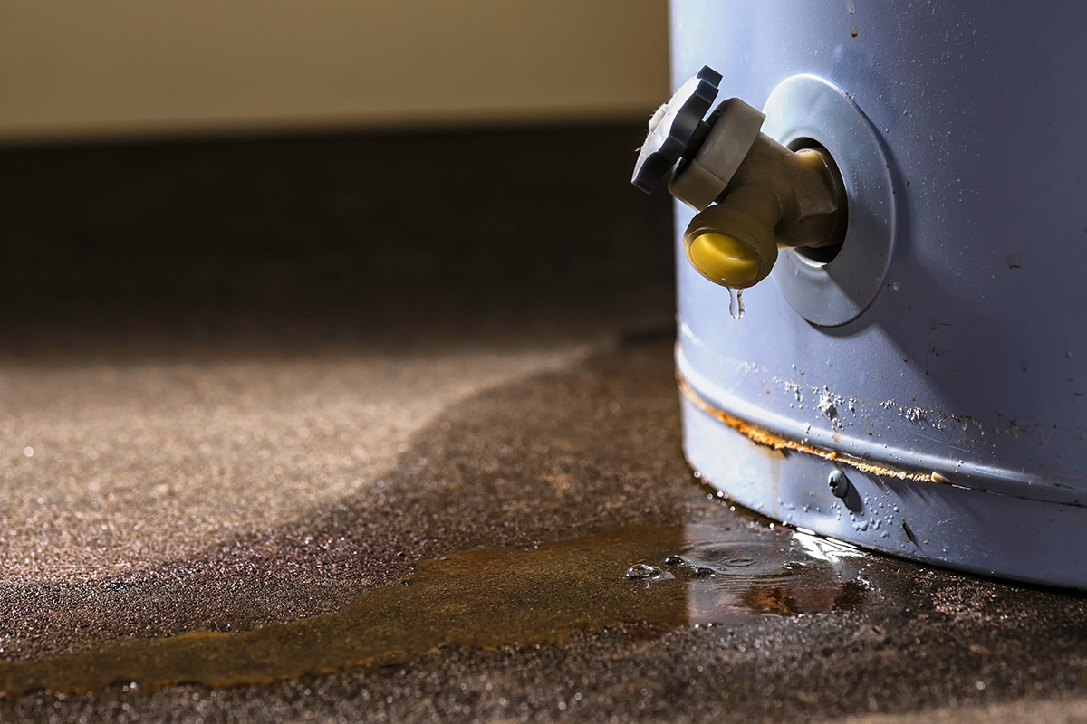 Water Heater Leaking From Bottom: Causes and Fixes - Efficiency