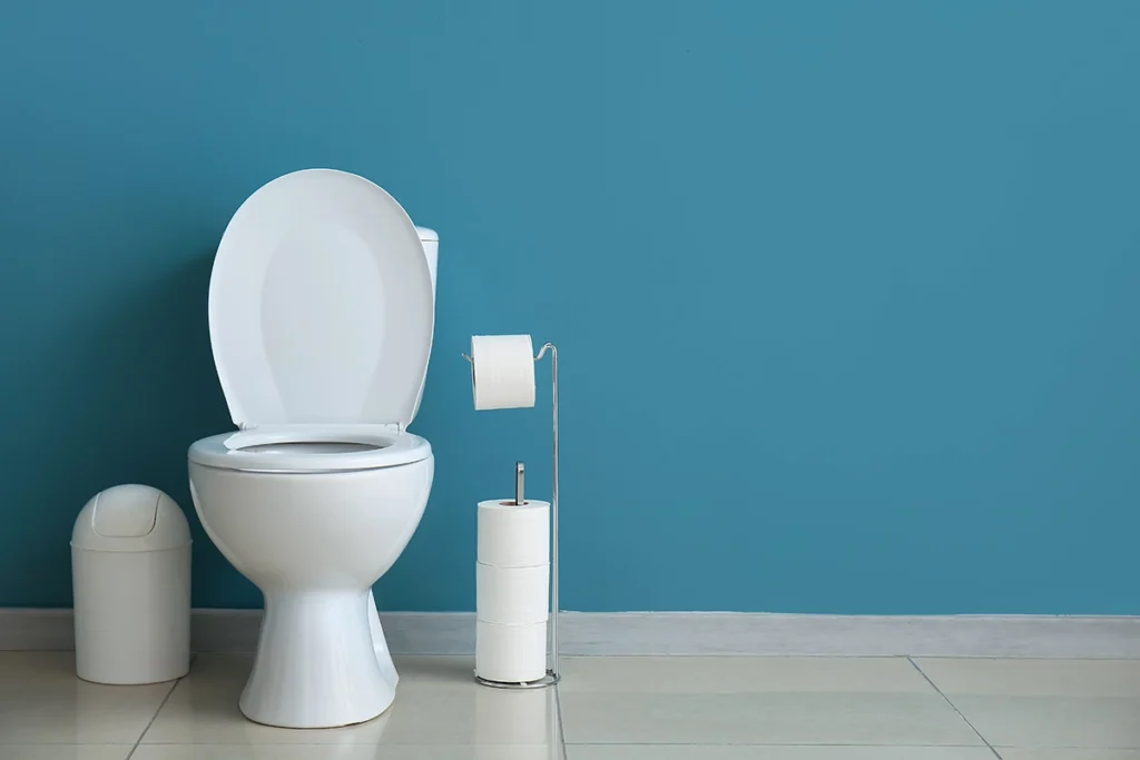 How to Unclog a Toilet: Causes, Warning Signs, Tips