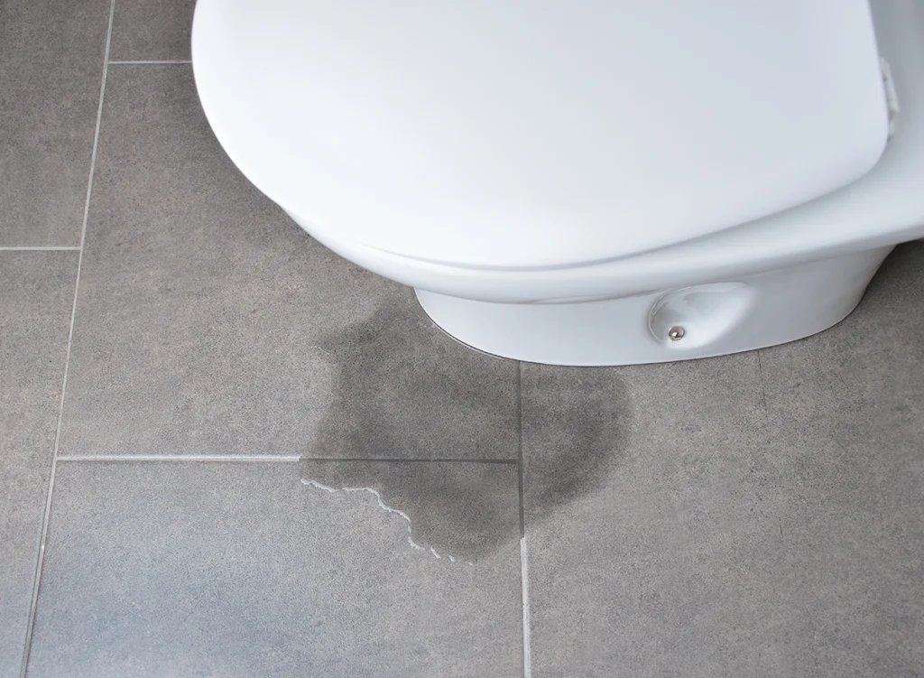 Toilet leaking at the base with water on the bathroom floor
